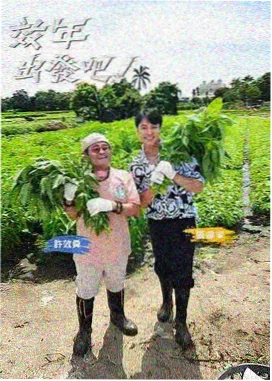 那年夏天的巴士旅行综艺海报